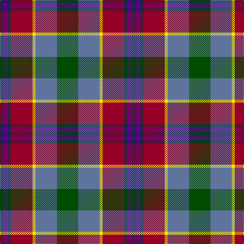 DN/6 P10 DN6 DR42 Y6 B42 G/42 tartan Tartan detail