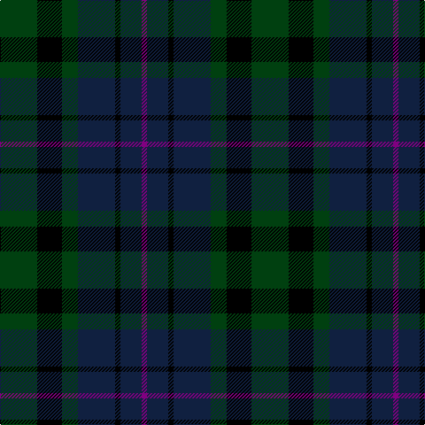 DG/42 K28 DG18 DB42 K6 DB24 P/6 tartan Tartan detail