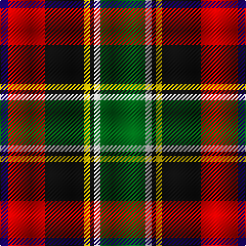 DB/8 R36 K38 Y6 K4 LN6 G/44 tartan Tartan detail