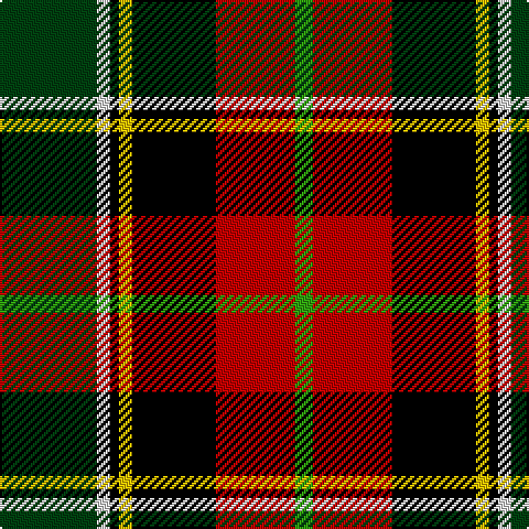 DG/44 LN6 K4 Y6 K38 R36 G/8 tartan Tartan detail