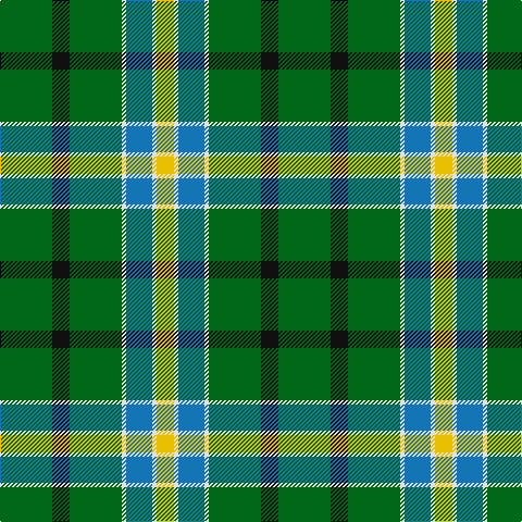 G/48 K16 G48 LN4 B24 LN4 Y/16 tartan Tartan detail
