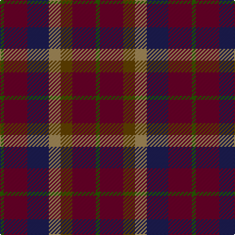 G/4 DR24 DB22 LT12 T12 DR24 G/4 tartan Tartan detail