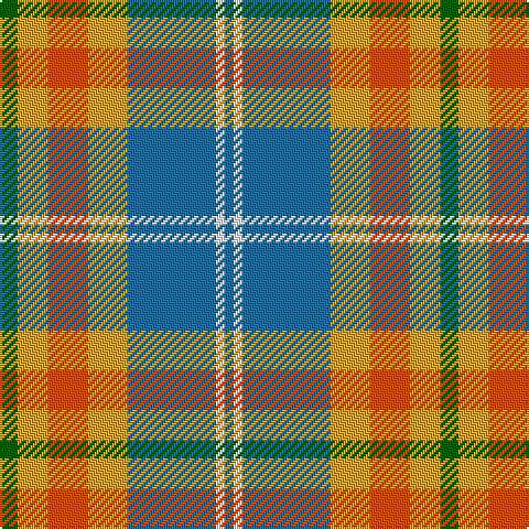 B/4 W4 B40 Y18 R18 Y14 G/8 tartan Tartan detail