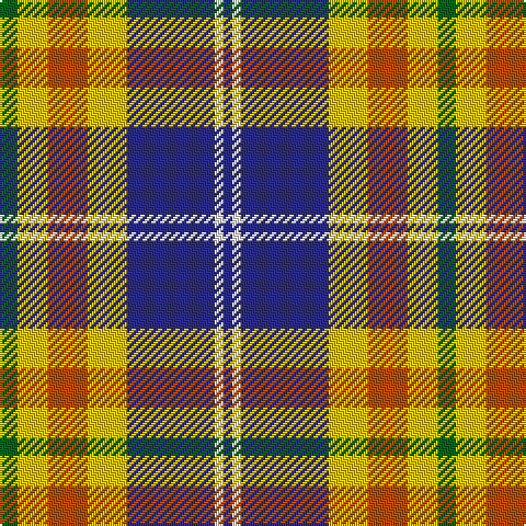 G/8 Y14 DO18 Y18 DB40 W4 DB/4 tartan Tartan detail