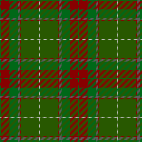 G/4 DR28 G28 N8 DR4 Ga60 Na/4 tartan Tartan detail
