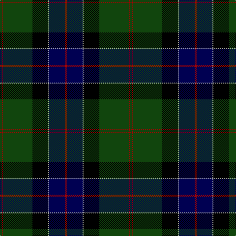 DG/4 DR2 DG60 K32 N2 DB32 DR/4 tartan Tartan detail