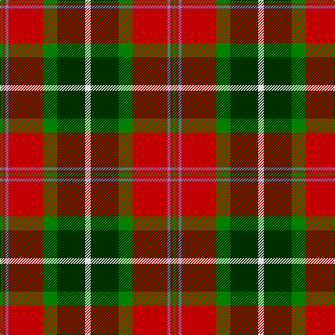 G/4 R4 B4 R50 G20 DG40 LN/8 tartan Tartan detail