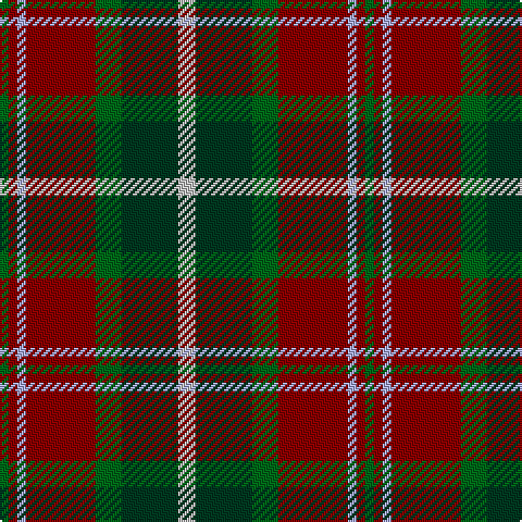 G/4 DR4 LP4 DR32 G12 DG26 N/8 tartan Tartan detail