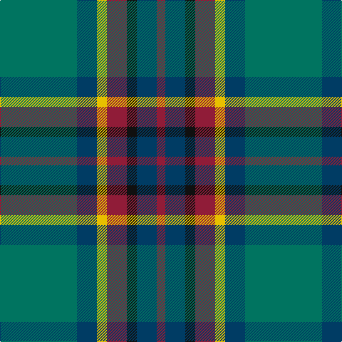 G/108 DB28 Y14 DR28 K14 DB28 DR/12 tartan Tartan detail