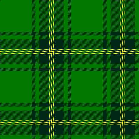 G/110 DG12 G14 DG34 Y2 DG4 Y/4 tartan Tartan detail