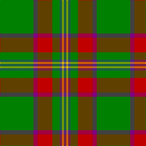 B/8 Y6 B8 G24 R48 P14 G/110 tartan Tartan detail