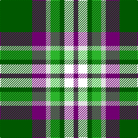 G/56 P24 W8 Ga16 G8 LP16 P/8 tartan Tartan detail