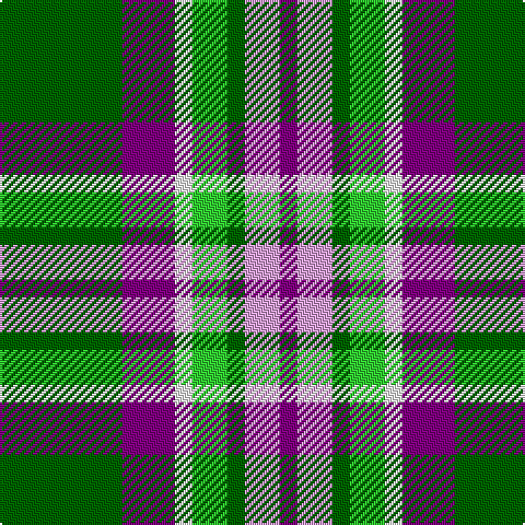 G/56 P24 W8 Ga16 G8 LP16 P/8 tartan Tartan detail
