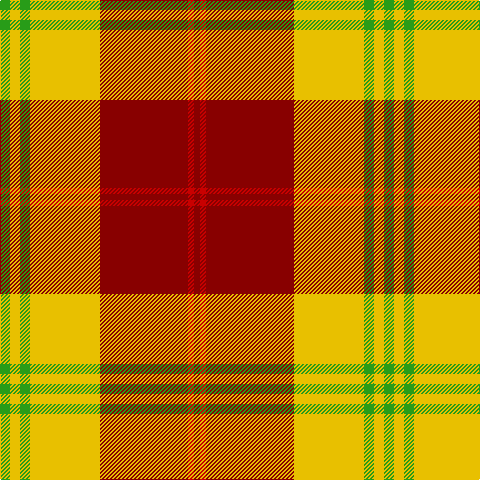 DR/6 R6 DR88 Y70 G10 Y10 G/10 tartan Tartan detail