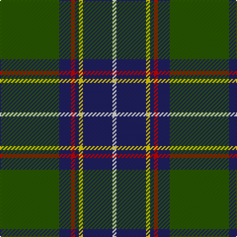G/60 DB12 R4 DB4 Y4 DB30 LN/4 tartan Tartan detail