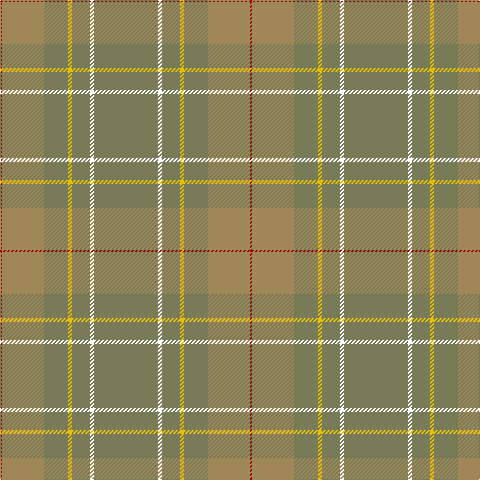 DR/2 LT42 G24 Y4 G18 W4 G/64 tartan Tartan detail