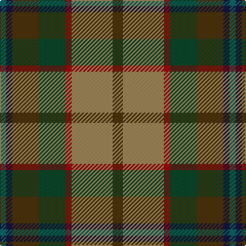 G/6 DB6 T26 DG26 DR6 LT40 T/10 tartan Tartan detail