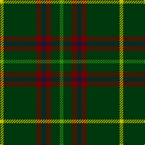 Y/6 DG54 DR9 DB7 DR9 DG14 G/6 tartan Tartan detail