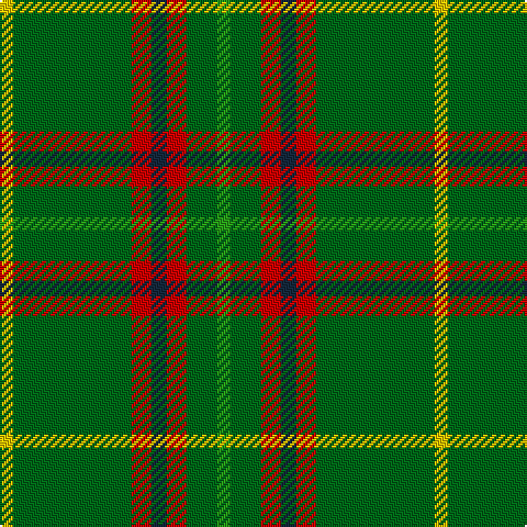 Y/6 G54 R9 DN7 R9 G14 Ga/6 tartan Tartan detail