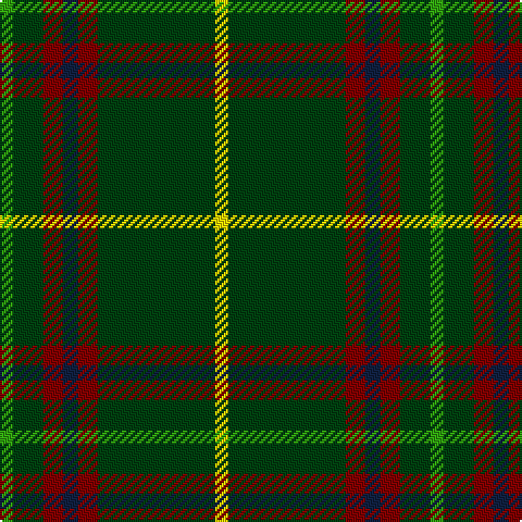G/6 DG14 DR9 DB7 DR9 DG54 Y/6 tartan Tartan detail