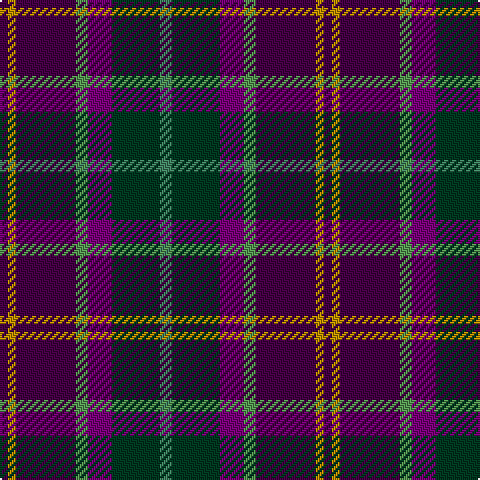 DP/4 DY4 DP30 LG6 P12 DG24 G/6 tartan Tartan detail