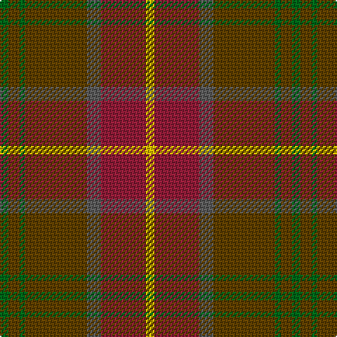 G/6 T8 G4 T44 N10 DR32 Y/6 tartan Tartan detail