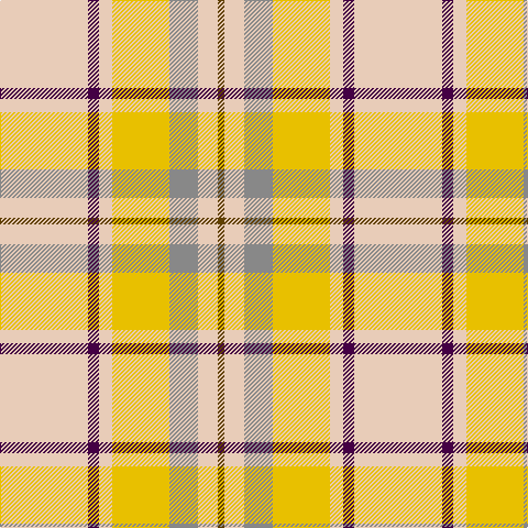 LR/80 DP10 LR12 Y52 N26 LR18 T/6 tartan Tartan detail