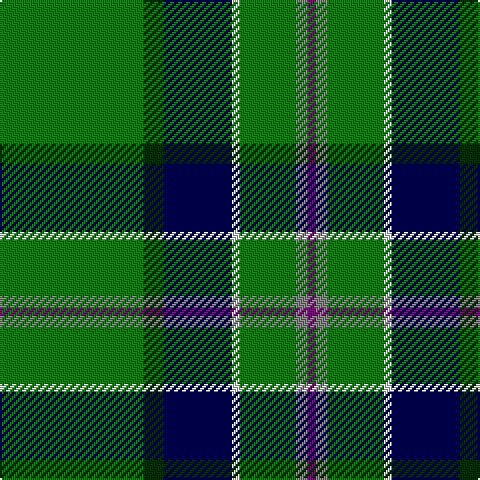 G/72 DG10 DB34 LN4 G28 N6 P/4 tartan Tartan detail