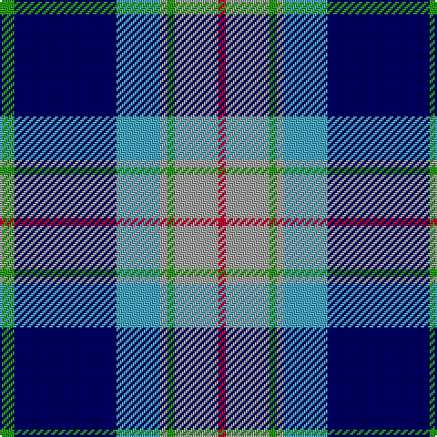 G/8 DB56 B24 N4 G4 N24 R/4 tartan Tartan detail