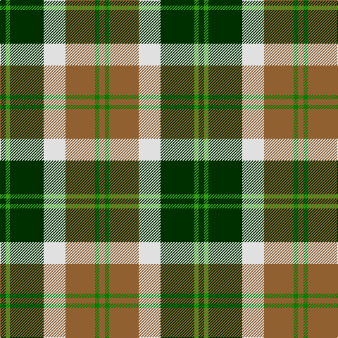 DG/8 G6 DG48 LN31 LT42 Ga6 LT/8 tartan Tartan detail