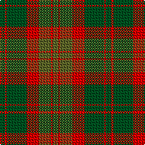 G/8 R4 G32 R20 Ga20 R4 Ga/8 tartan Tartan detail