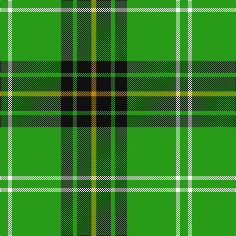 DY/10 K30 G8 K24 G100 W8 G/16 tartan Tartan detail