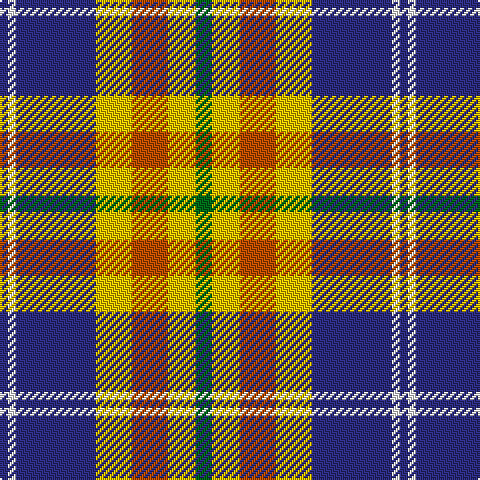 DB/4 W4 DB40 Y18 DO18 Y14 G/8 tartan Tartan detail