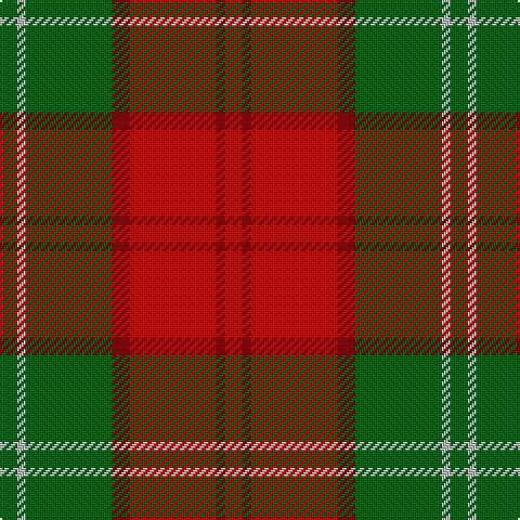 G/8 N4 G40 DR8 R40 DR4 R/8 tartan Tartan detail