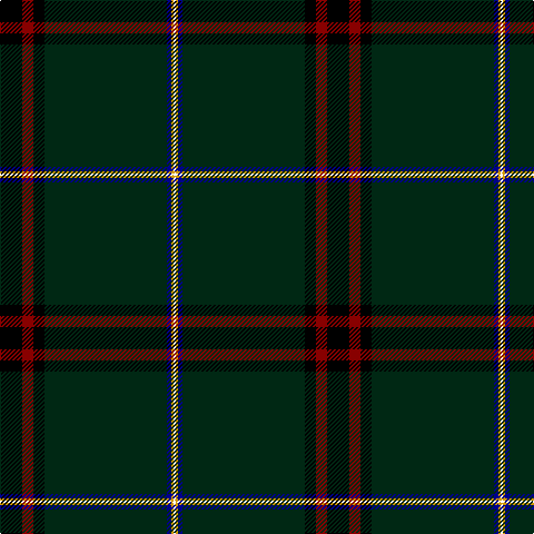 K/20 DR10 K10 DG110 DB4 DY2 W/2 tartan Tartan detail