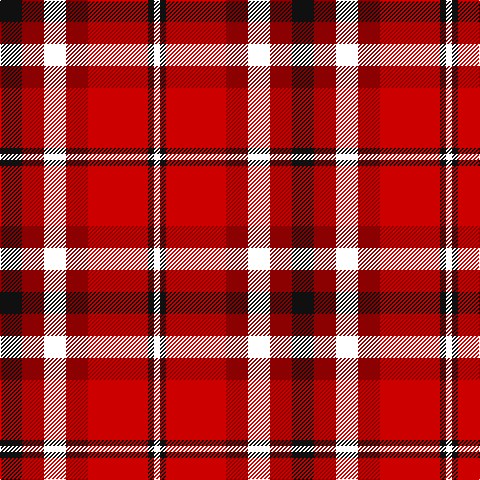 K/22 DR22 W22 DR22 R60 K6 W/6 tartan Tartan detail
