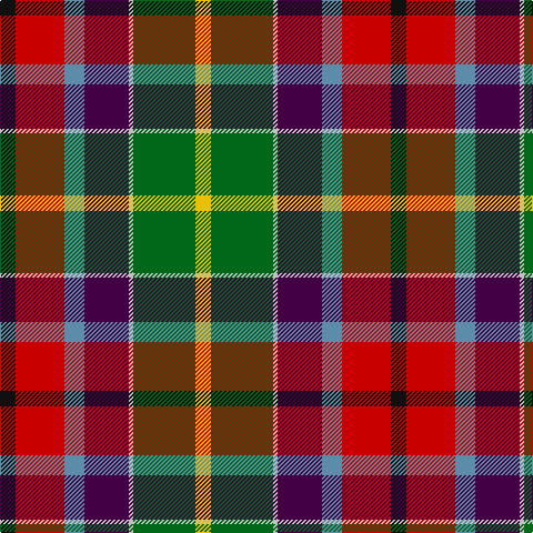 K/14 R44 B18 DP40 N4 G56 Y/14 tartan Tartan detail