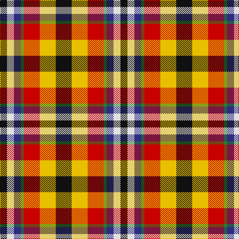 K/14 LN14 DB14 G6 R32 Y32 K/32 tartan Tartan detail
