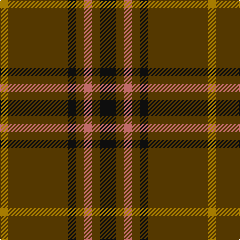 DY/8 T60 K8 T8 LR8 T8 K/16 tartan Tartan detail