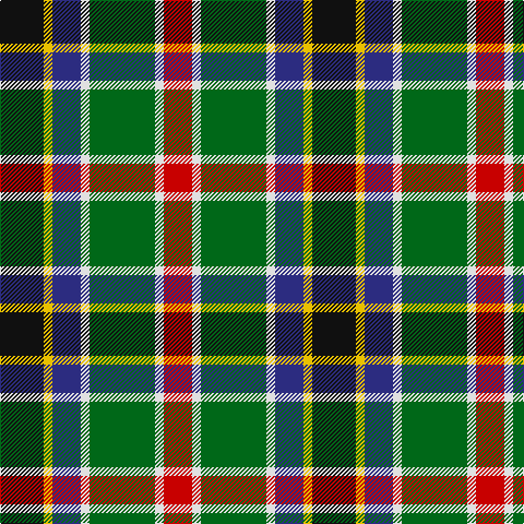 K/40 Y8 DB26 LN8 G60 LN8 R/26 tartan Tartan detail