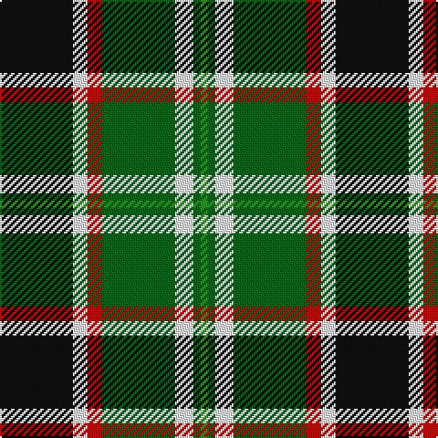 K/40 W8 R8 Ga40 W10 Ga4 G/4 tartan Tartan detail