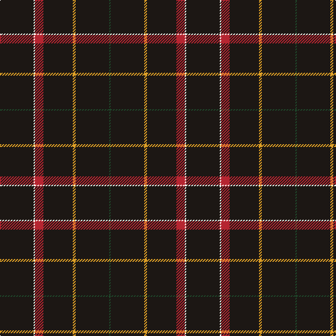K/48 W2 R12 K42 Y4 K48 DG/2 tartan Tartan detail