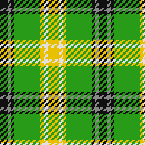 K/26 N12 K10 G86 Y12 LN14 Y/34 tartan Tartan detail