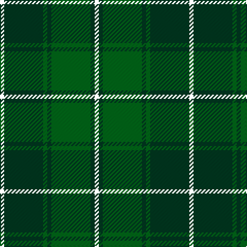 R/4 DG38 G4 DG4 G38 DG4 Y/4 tartan Tartan detail
