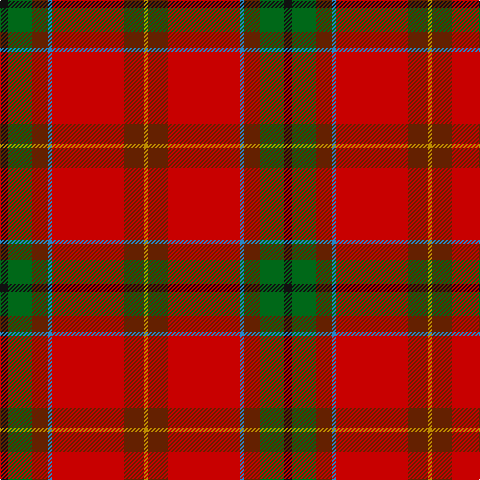 DY/4 T20 R72 B4 T16 G24 K/8 tartan Tartan detail