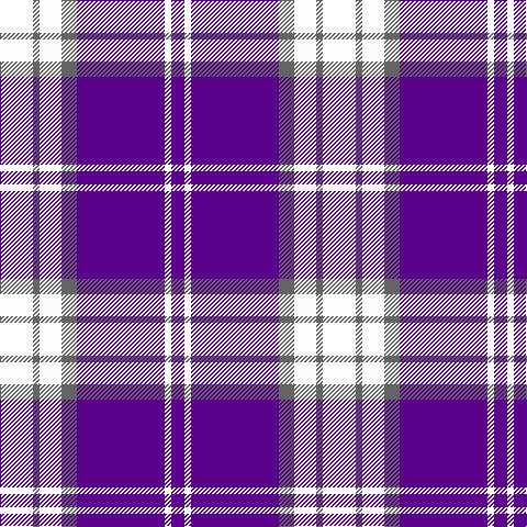 LR/30 N6 W20 N14 P80 W6 P/12 tartan Tartan detail
