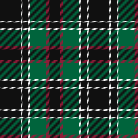 K/72 W6 K20 W6 G56 DR12 K/36 tartan Tartan detail