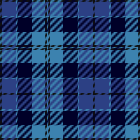 K/6 Ba48 B6 DB50 B44 K6 B/6 tartan Tartan detail