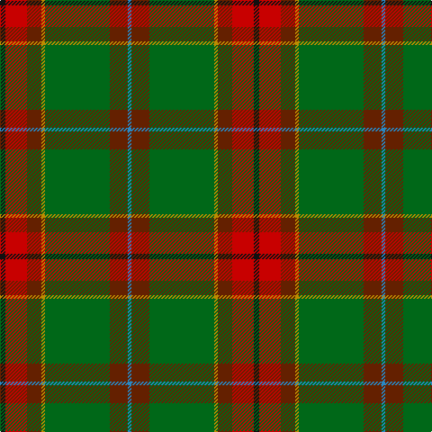 B/4 T20 G72 DY4 T16 R24 K/6 tartan Tartan detail