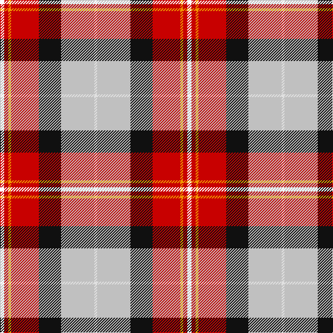 YY/6 R6 DY4 R40 K32 N48 LN/4 tartan Tartan detail